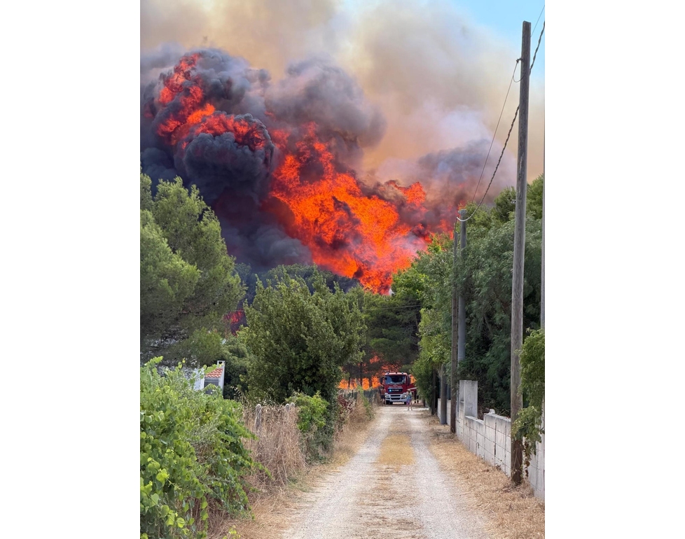 In fiamme pineta sul mare in Salento, evacuati residence e lidi