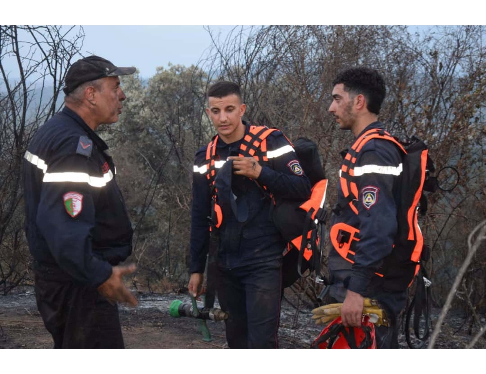 Incendi boschivi in Algeria, almeno sei i morti