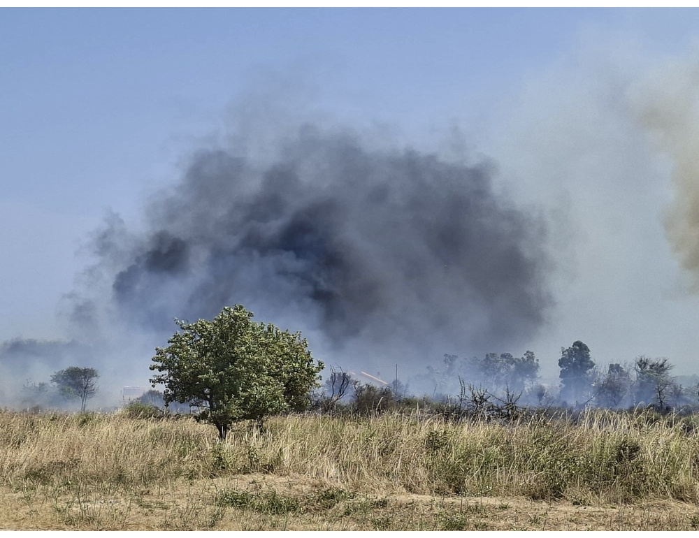 Incendi in Basso Molise, evacuati campeggi, chiuse statale e ferrovia