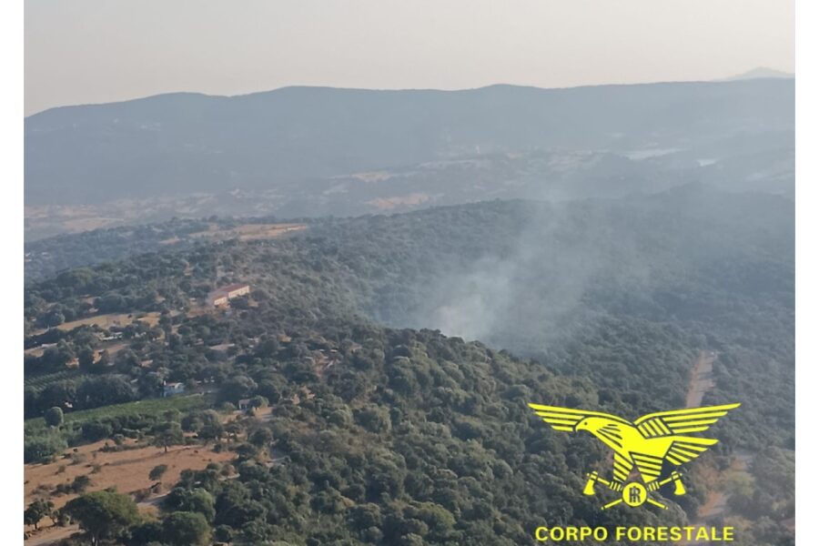 Corpo Forestale ancora impegnato nelle bonifiche con un elicottero