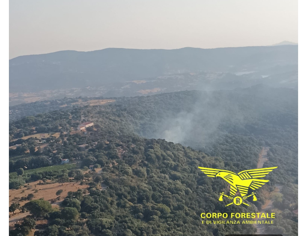 Incendi in Sardegna, 10 ettari andati in fumo in Gallura