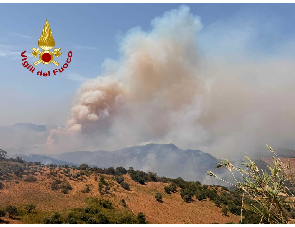 Incendio di vegetazione su un’area di 100 ettari nel Crotonese