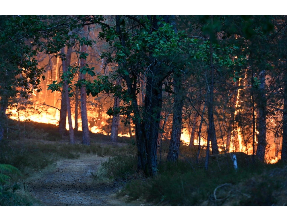 Incendio nella foresta di Fontainebleau, a sud est di Parigi, ‘forse doloso’