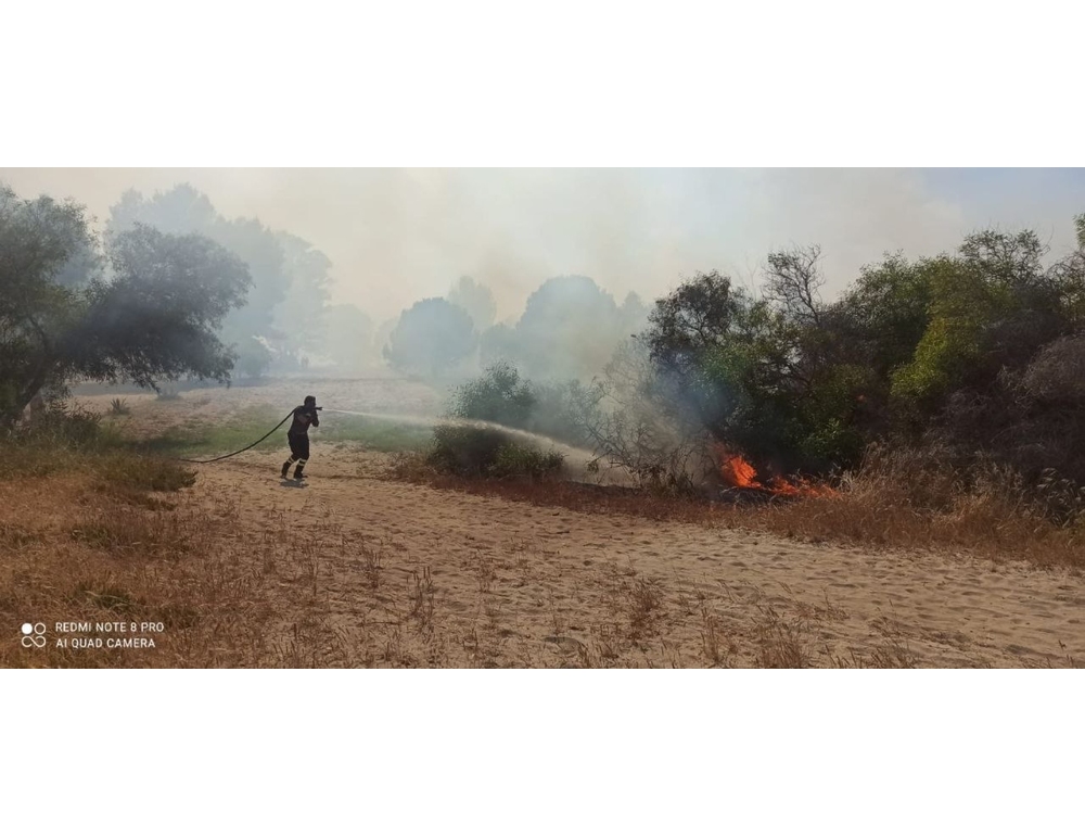 Incendio vicino ad un campeggio nel Foggiano, turisti evacuati