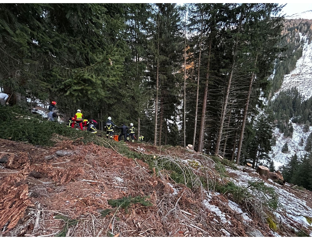 Incidenti sul lavoro, 23enne muore mentre taglia alberi in un bosco
