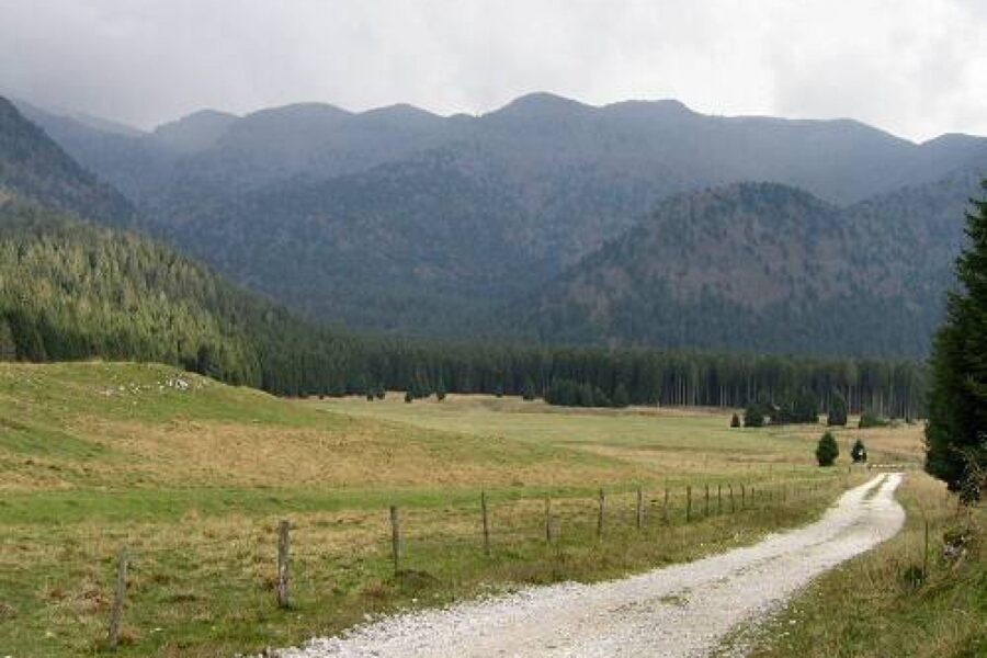 L'antico 'bosco da reme' della Serenissima potrebbe diventare come Venezia e le Tre Cime