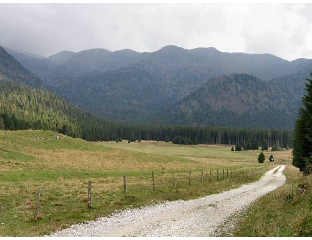 La foresta del Cansiglio verso il ticket d’ingresso