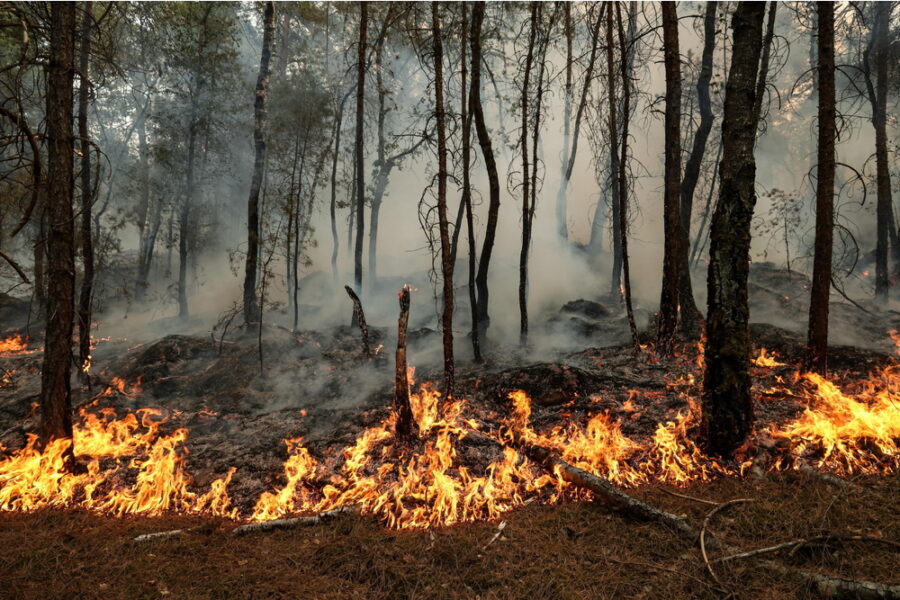 I vigili del fuoco sperano di domare l'incendio entro oggi