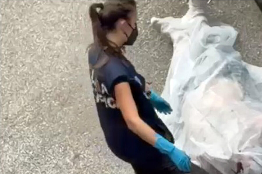 'Il 42enne si è ferito strisciando per terra dopo un morso al poliziotto'