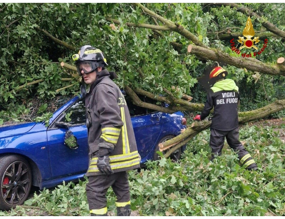 Maltempo, a Cremona sradicati centinaia di alberi e pali della luce