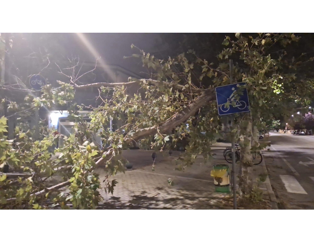 Maltempo, a Pescara raffiche di vento fino a 80 chilometri orari