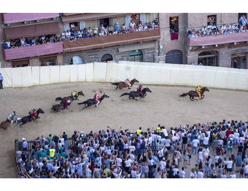Palio Siena: estratte le tre contrade per il 16 agosto