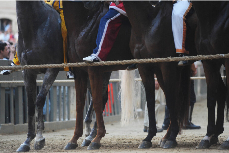 Col fantino Tittia e il cavallo Diodoro già vincitori insieme l'anno scorso per l'Oca