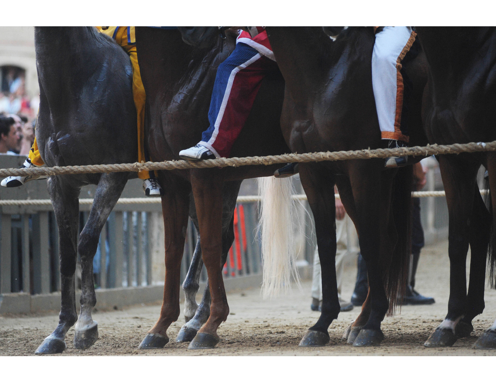 Palio di Siena, vince contrada Aquila, non accadeva dal 1992