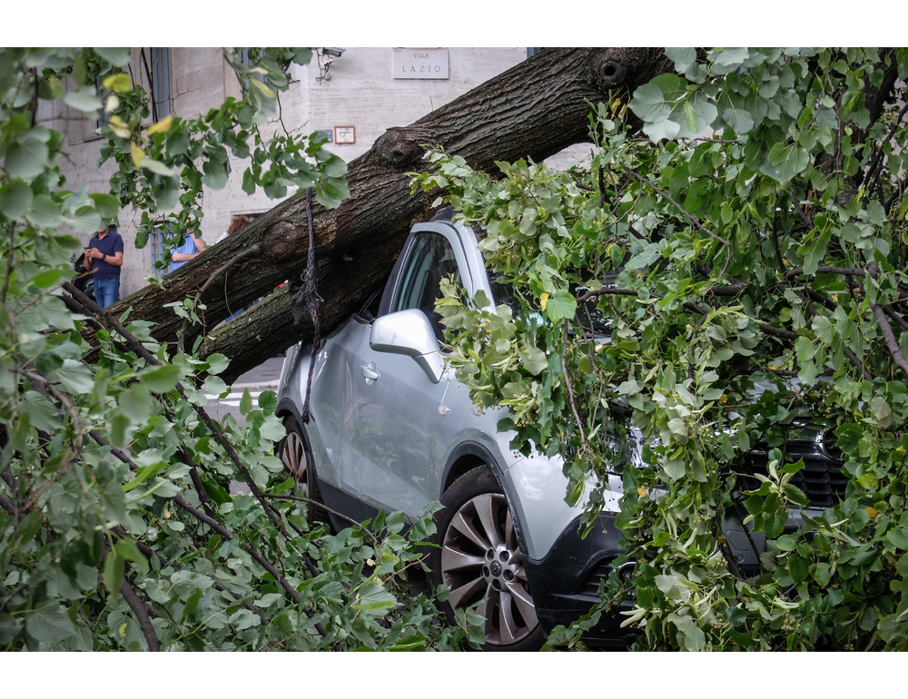 Pioggia e vento su Milano, centinaia gli interventi dei vigili del fuoco