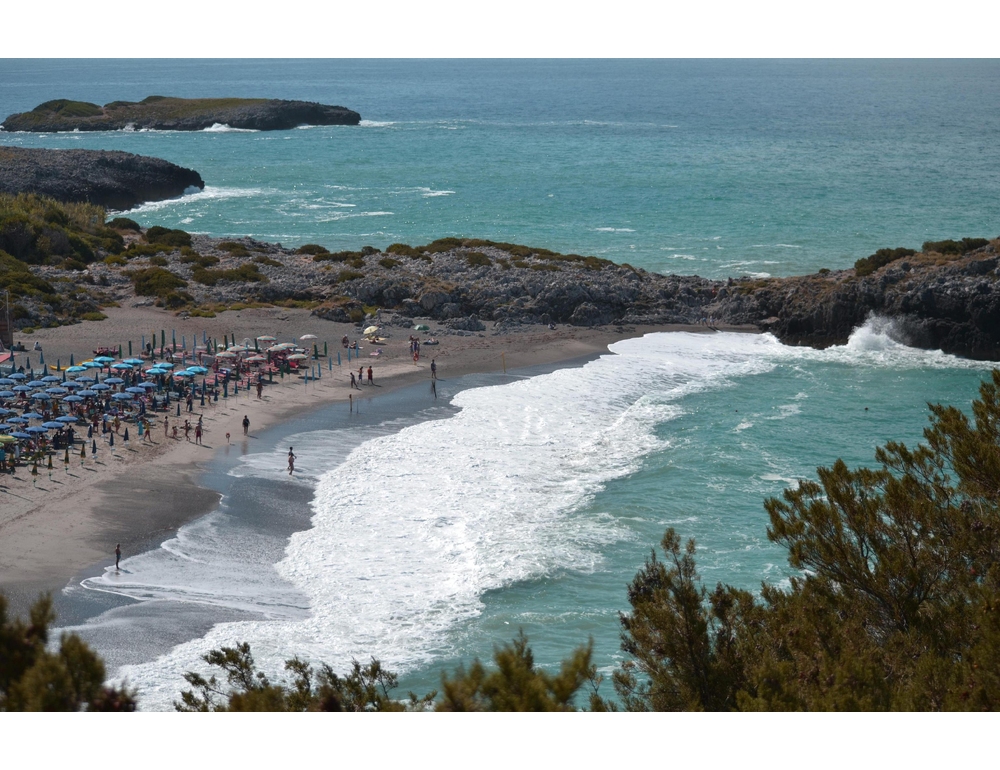 Rissa sulla spiaggia del Pozzallo nel Cilento, un ferito