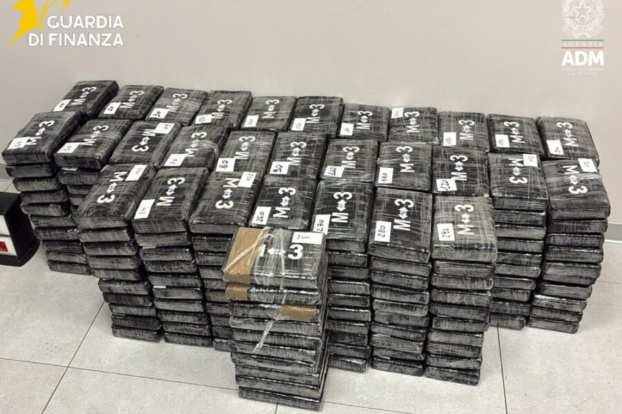 Operazione congiunta Gdf-Dogane. La droga nascosta nei tronchi dei platani