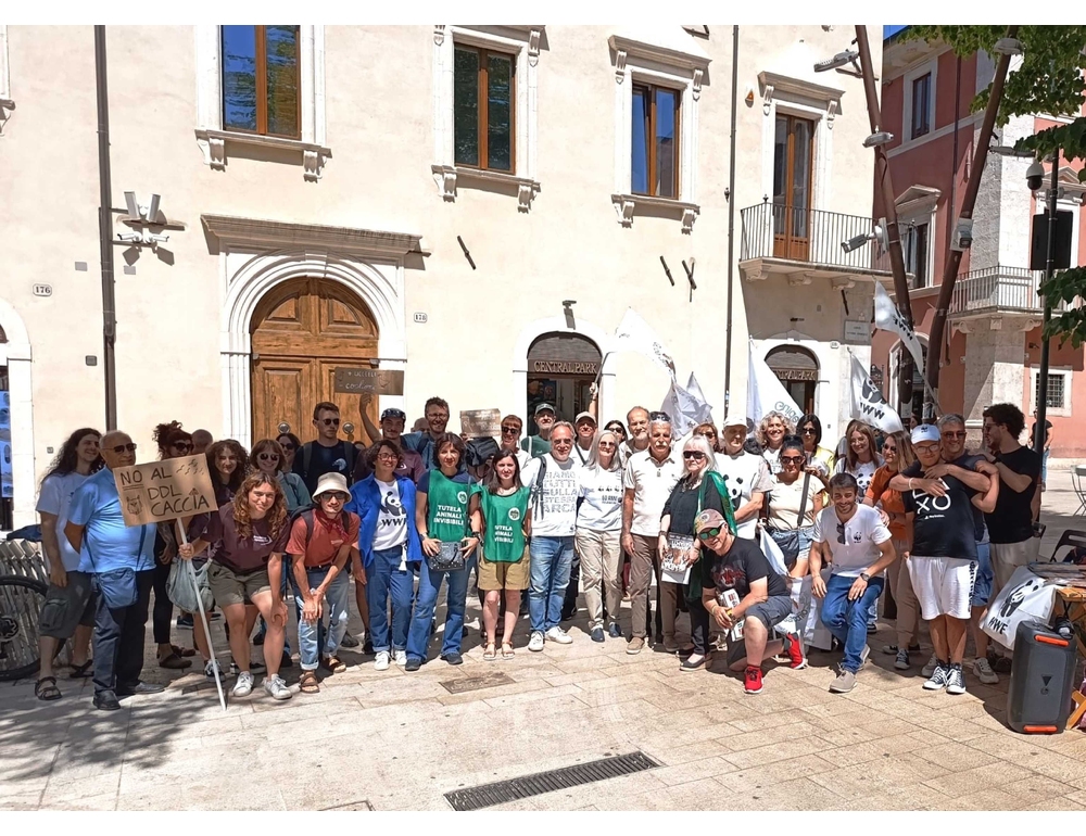 Stop a Ddl Caccia selvaggia, sit-in all’Aquila Wwf e altre 12 associazioni