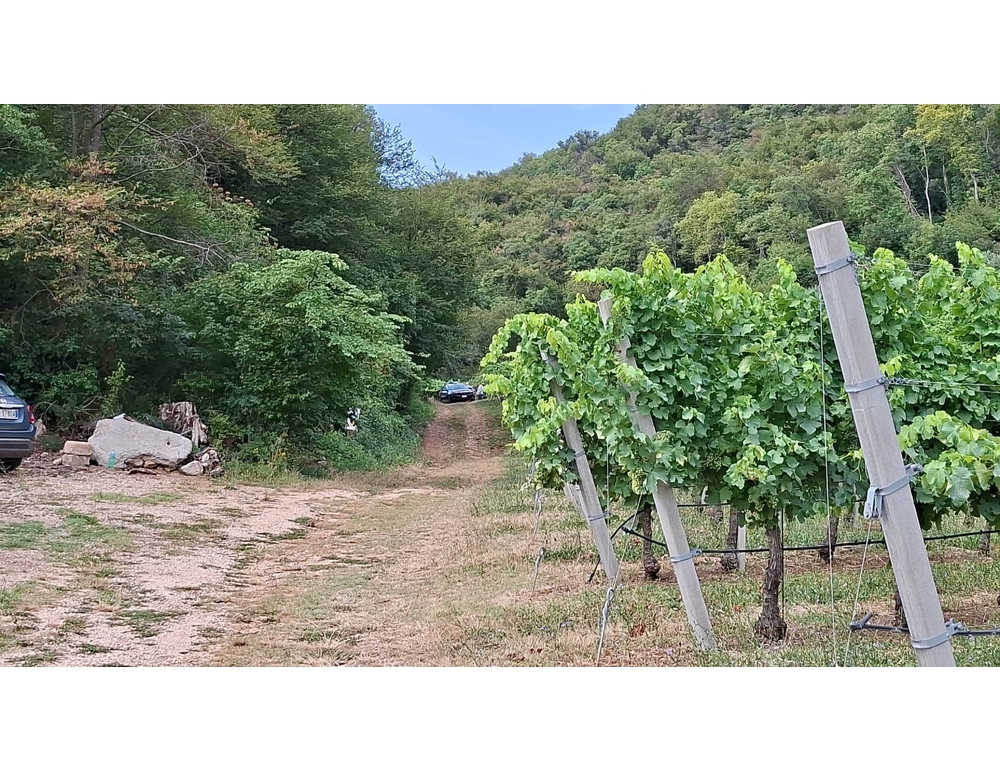 Travolto dal trattore, un agricoltore muore nel Vicentino