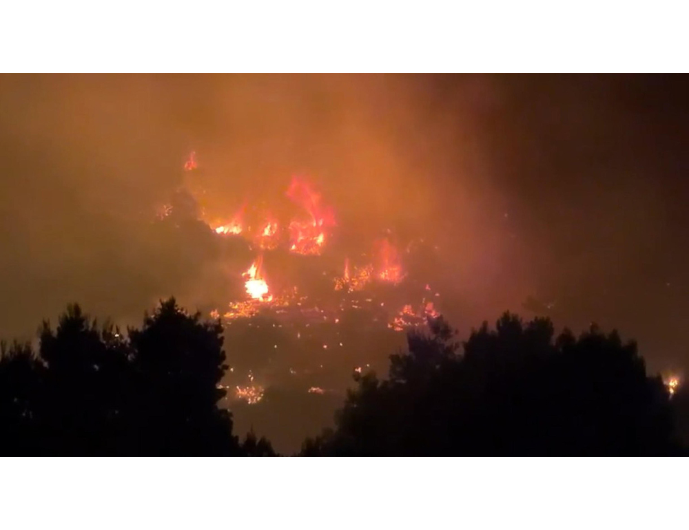 Uncem: ‘le Regioni si ricordano di boschi e foreste solo con gli incendi’