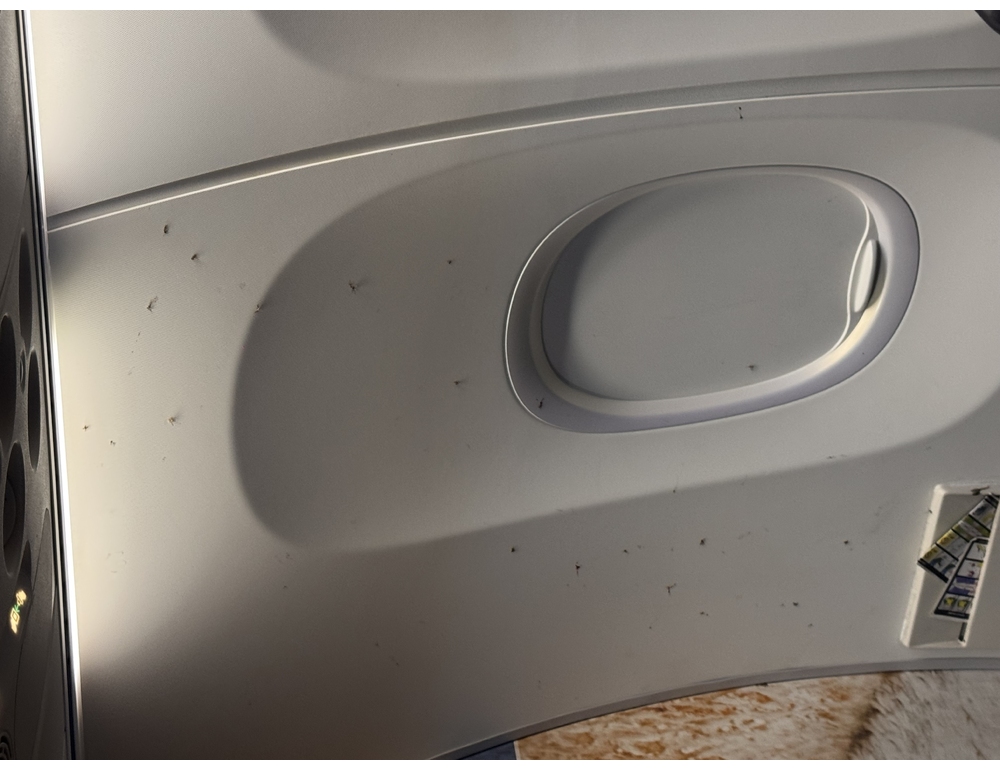 Zanzare invadono aereo, passeggeri costretti a scendere e tre ore di ritardo