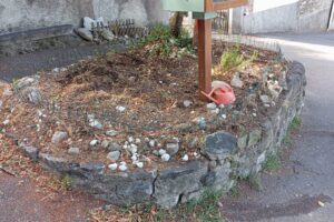 Villa Volta, verde abbandonato. Patelli: “Serve una corretta gestione del paesaggio”