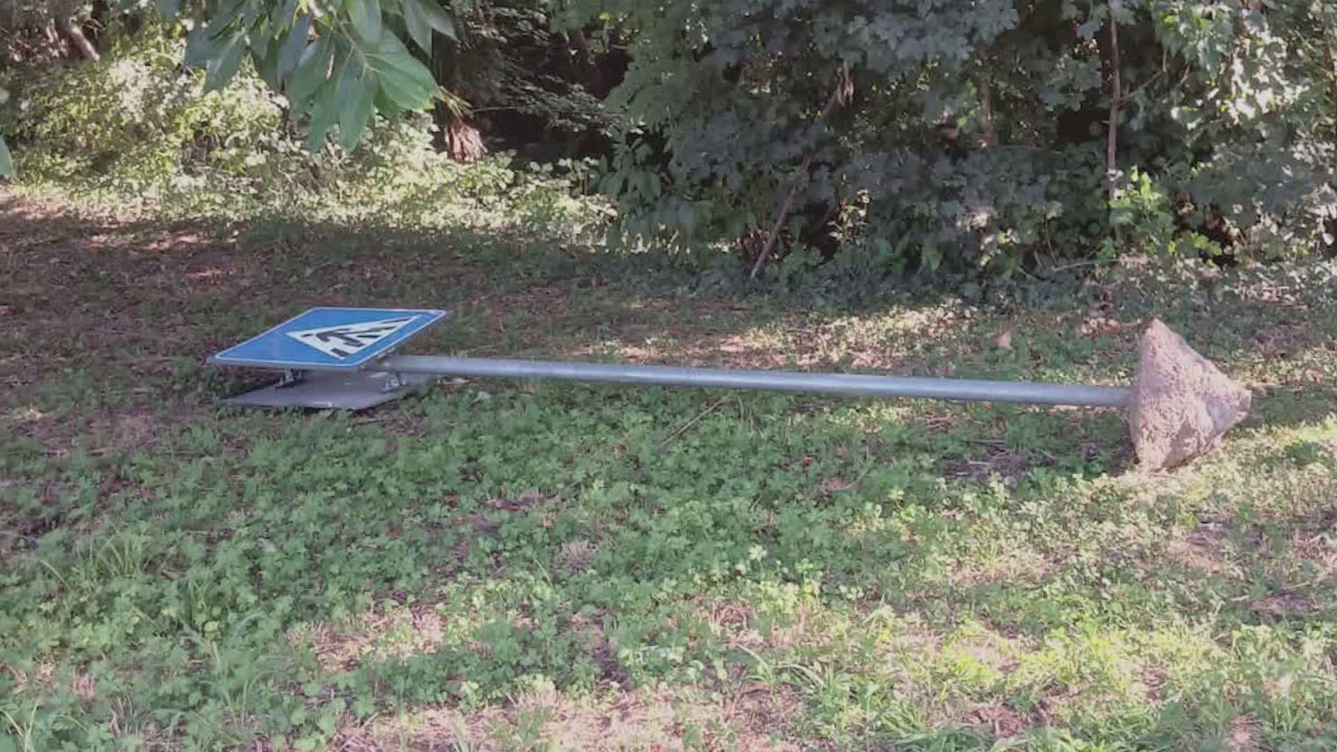 Cartelli divelti e vetri rotti: vandali in azione ad Anzano del Parco. La denuncia del Comune