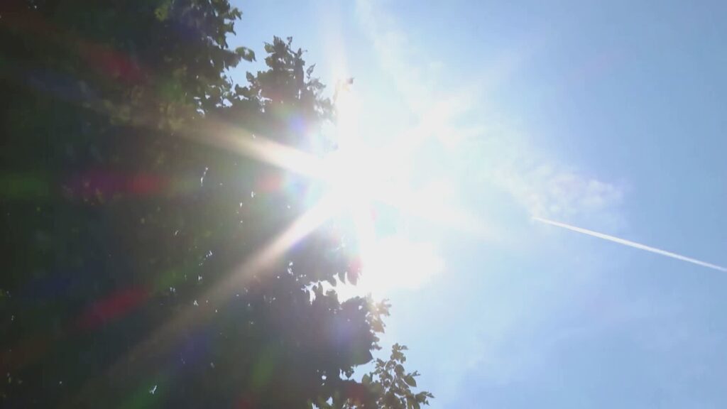 Caldo record, colpi di calore e punture di meduse: i consigli degli esperti per proteggere i bambini