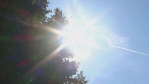 Caldo record, colpi di calore e punture di meduse: i consigli degli esperti per proteggere i bambini