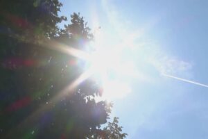Caldo record, colpi di calore e punture di meduse: i consigli degli esperti per proteggere i bambini