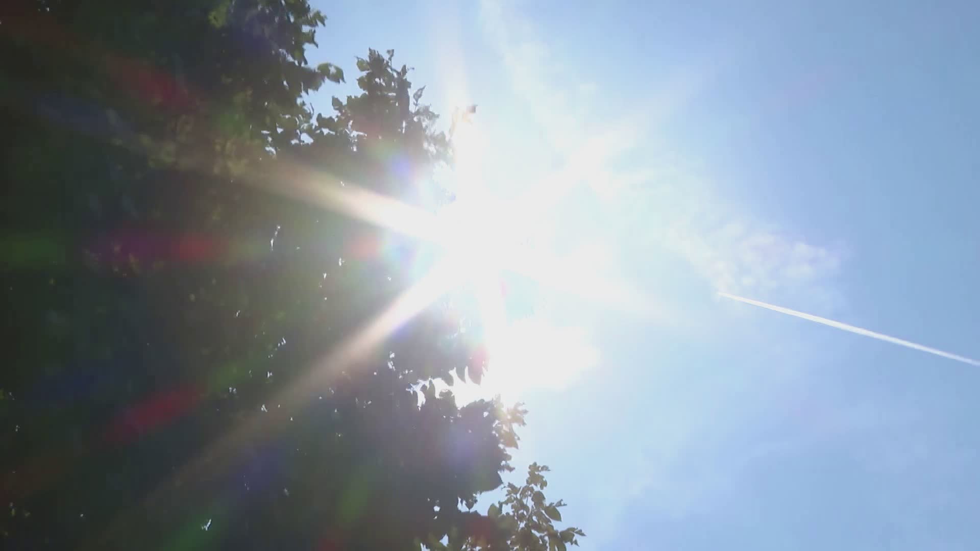 Caldo record, colpi di calore e punture di meduse: i consigli degli esperti per proteggere i bambini