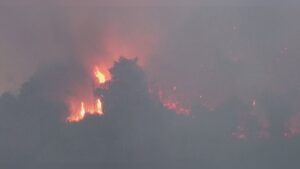 Incendio sul Monte Goi, la politica si stringe alla città
