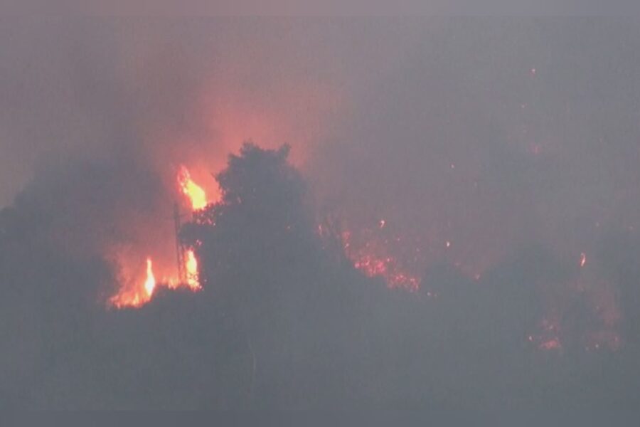 14778 Incendio sul Monte Goi la politica si stringe alla citta 1786718053