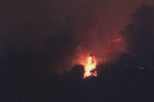 Como, incendio sul monte Goi. Gli ambientalisti: “Serve più prevenzione sul territorio”