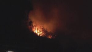 Incendio Monte Goj, Pd: “Serve subito un tavolo d’urgenza per rimodulare il progetto del parco”