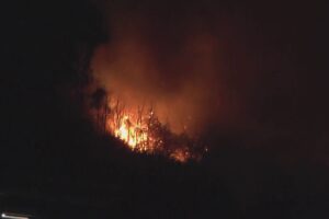 Incendio Monte Goj, Pd: “Serve subito un tavolo d’urgenza per rimodulare il progetto del parco”