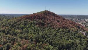 Monte Goi, le immagini dall’alto dopo l’incendio. Le riprese dal drone mostrano i danni del fuoco