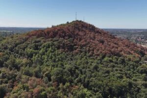 Monte Goi, le immagini dall’alto dopo l’incendio. Le riprese dal drone mostrano i danni del fuoco