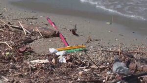 Rifiuti, detriti e plastica nel Lago di Como. Il maltempo lascia il segno nel cuore della città