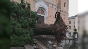 Maltempo e danni a Griante e Tremezzo: alberi caduti, strade interrotte e quartieri senza luce