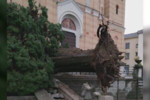 Maltempo e danni a Griante e Tremezzo: alberi caduti, strade interrotte e quartieri senza luce