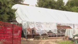 Serre di Villa Olmo, slitta la fine dei lavori. Quarta proroga, il nuovo termine è il 31 ottobre