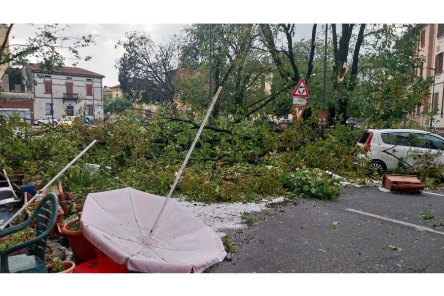 Migliaia di alberi caduti