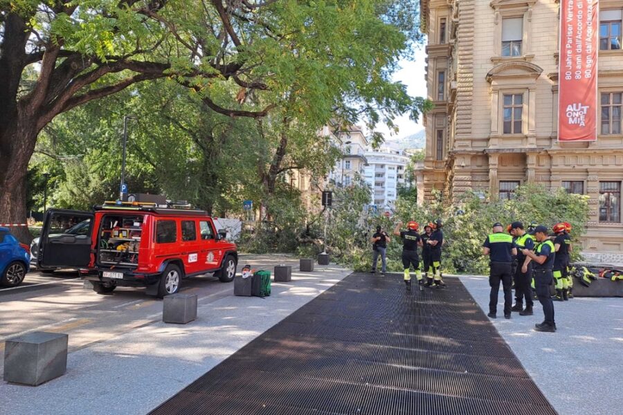 Si trovavano nei pressi di Palazzo Widmann