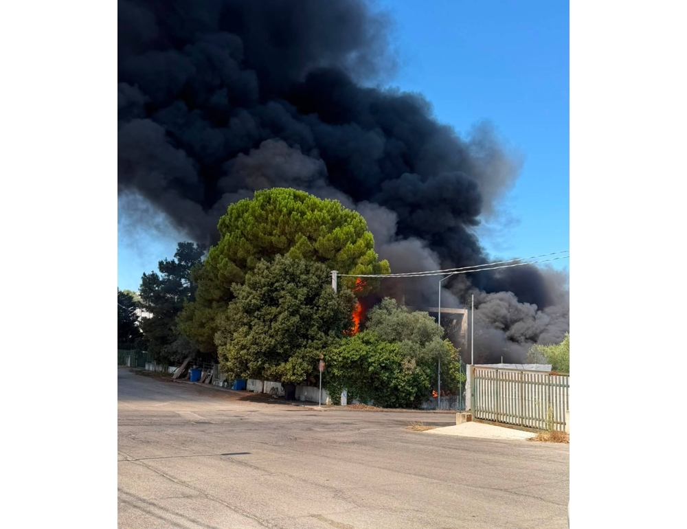 A fuoco capannone sotto sequestro nel Vastese, densa colonna di fumo nero