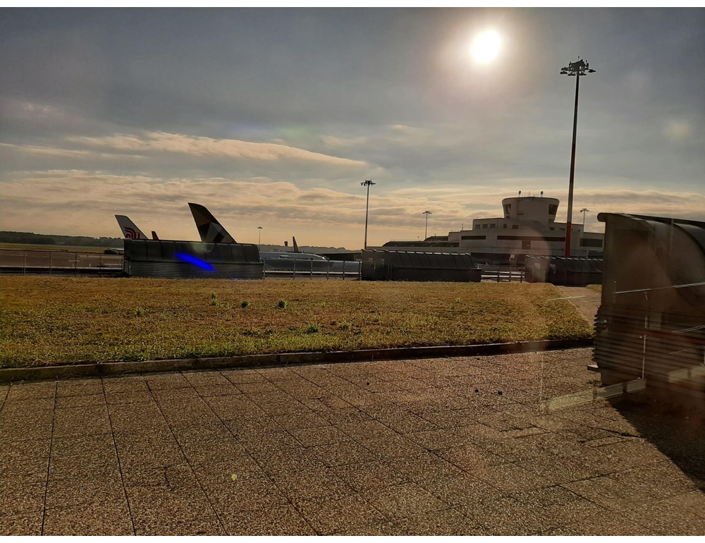 A fuoco carrellino dei bagagli a Malpensa, incendio subito domato