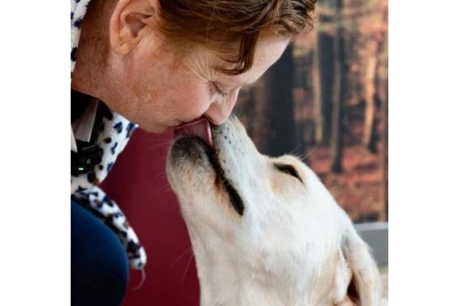 Premio speciale per i cani del progetto 'Gimme Five' del Pediatrico Gaslini