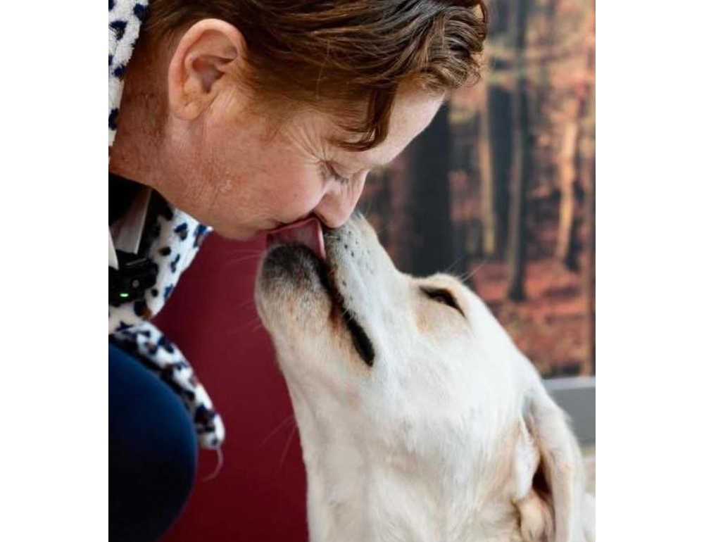 ‘Avverte’ proprietaria di un tumore, Premio Fedeltà del cane a Joy