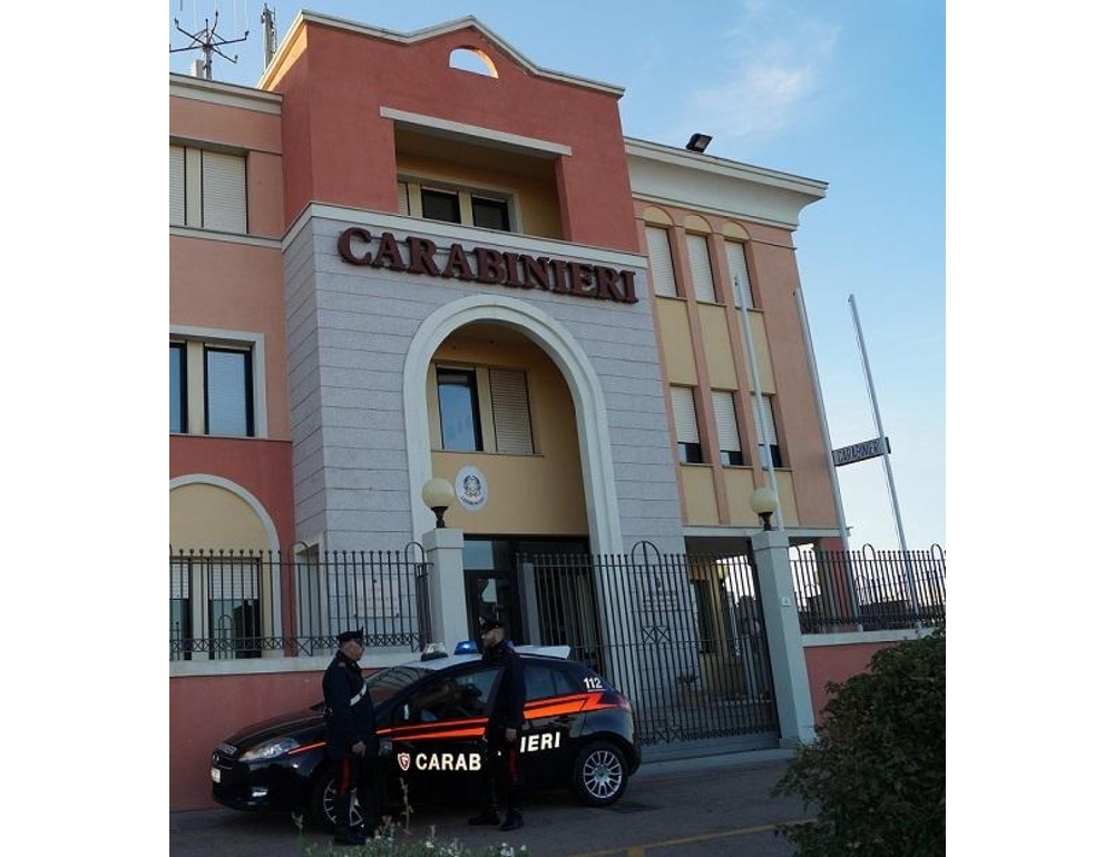 Bambino di 9 anni azzannato al volto da due cani, operato a Sassari