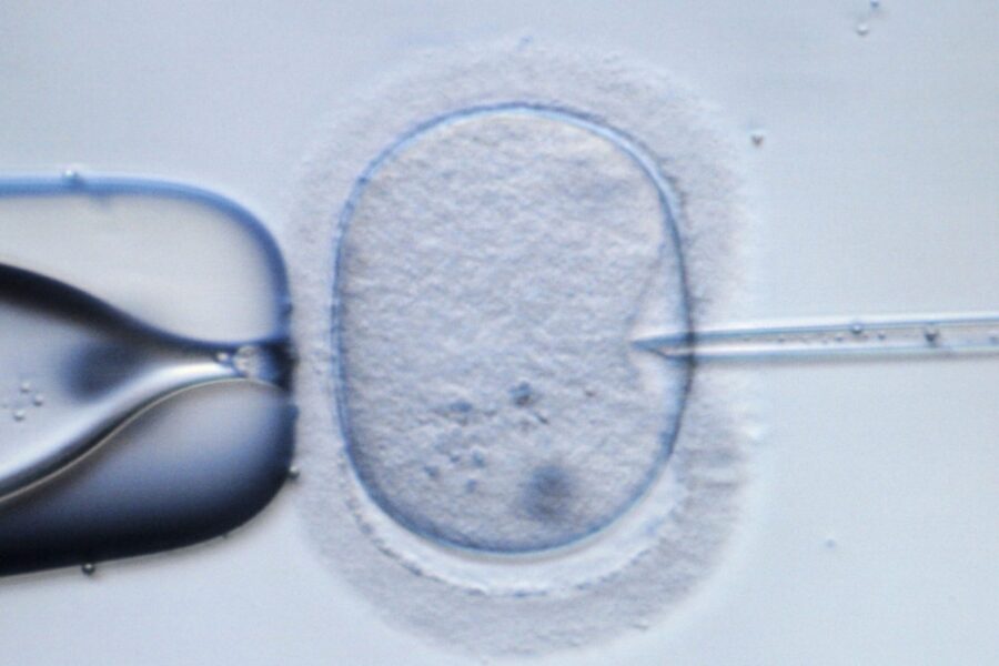 I genitori che hanno sporto denuncia vogliono la cartella clinica